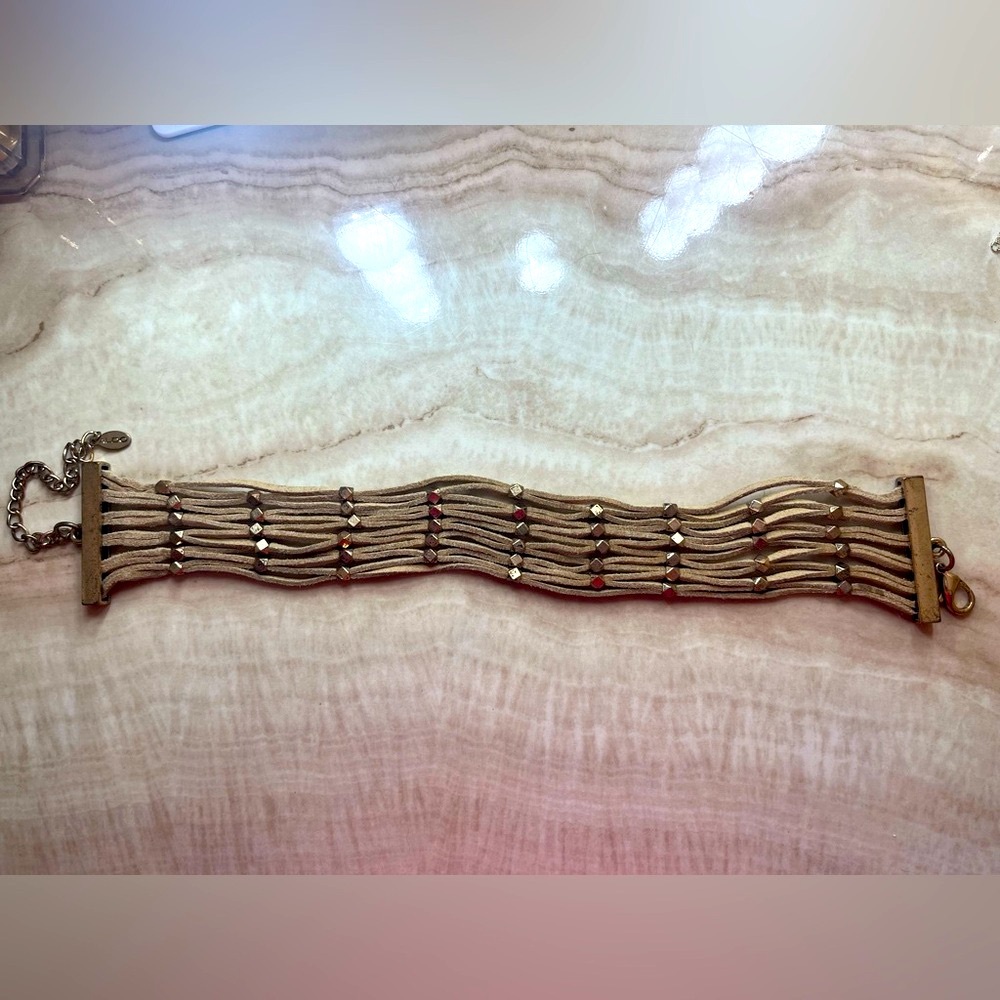Aldo Bohemian Gold and Suede Choker Necklace